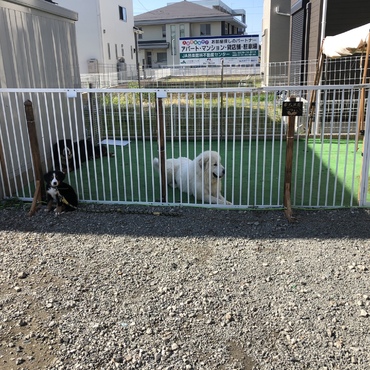の写真