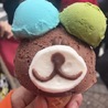 はしちゃん。