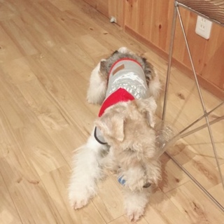 人なつこい子です！