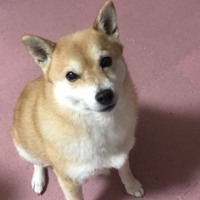 もか