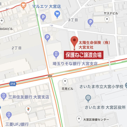 11/3（土）・4日（日）2日連続　太陽生命大宮ビル前「保護ねこ譲渡会」開催 サムネイル3