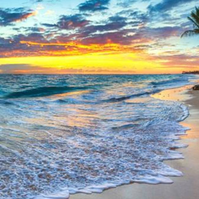 nansheのカバー写真