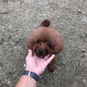 まだまだ遊び好きのイケメンです！