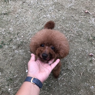 まだまだ遊び好きのイケメンです！