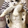 くちびる