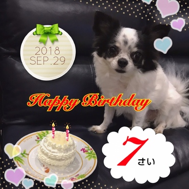 手作りケーキでアスタの誕生日のお祝い♡