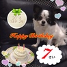 手作りケーキでアスタの誕生日のお祝い♡