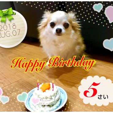 手作りケーキではなの誕生日のお祝い♡