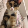 の写真
