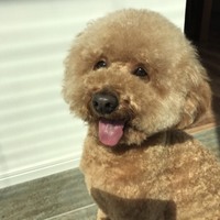 アル