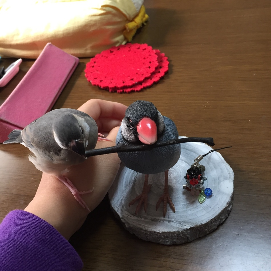 ちまきのカバー写真