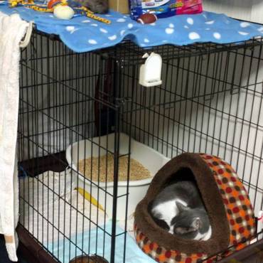 オネーたまの逆襲