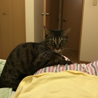遠藤 ニィニャ・マウ