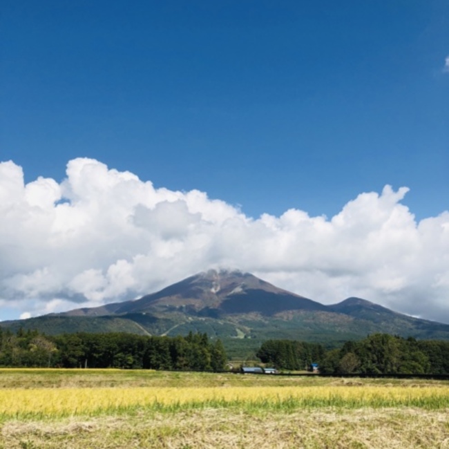 nanachibiのカバー写真