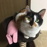 ミラン