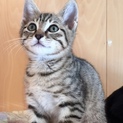 可愛い可愛いケビンくん…2ヶ月半