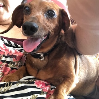 正式譲渡になりました