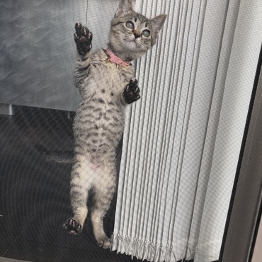 の写真
