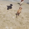 ミーポン