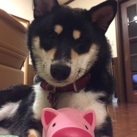 まろ
