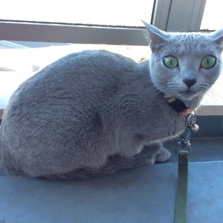 ご応募ありがとうございました！