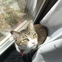 くぅ
