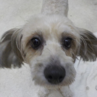 元気で明るい女の子♡