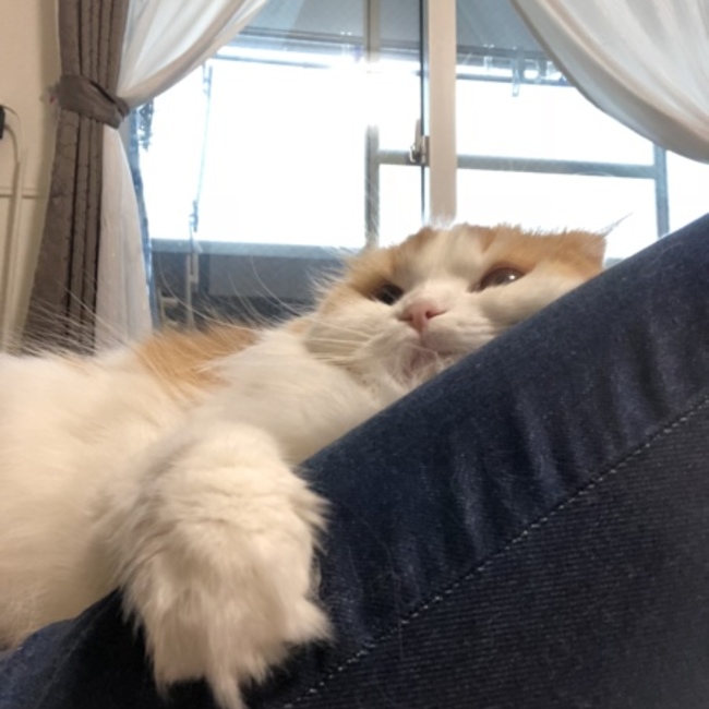 ゆき38127のカバー写真