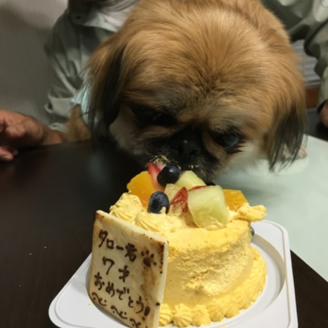 つかピースのカバー写真