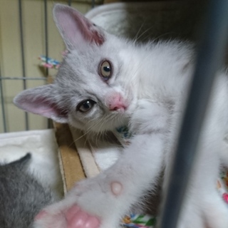 ありがとうございました！