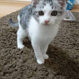 女の子みたい☆ハルカくん