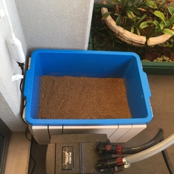 本日冬眠開始！