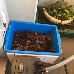 「本日冬眠開始！」サムネイル2