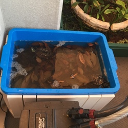 「本日冬眠開始！」サムネイル3