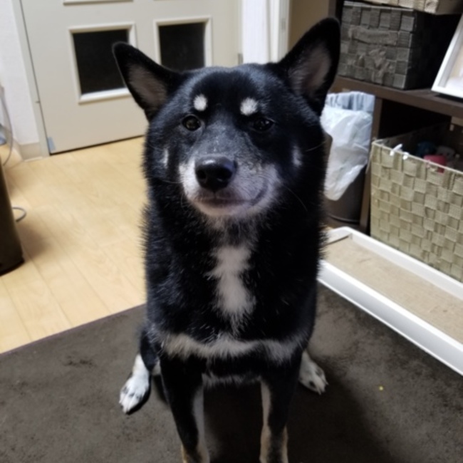 kwkw244のカバー写真