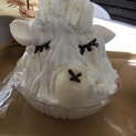 皆お見合い先決まりました！