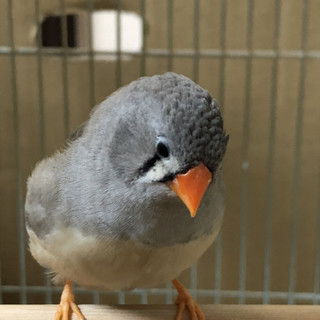 無事決まりました。ありがとうございました。