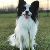 LUCA