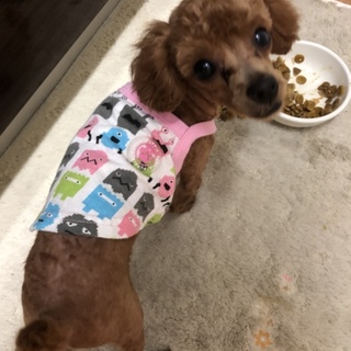 優しい方にお待ちしております。