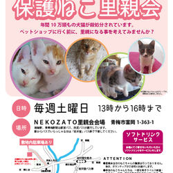 青梅の里山で癒しの里親会！！ サムネイル2