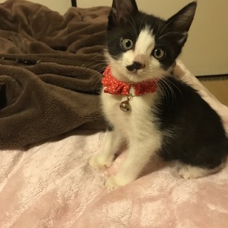 お兄ちゃんの分まで長生きするよー