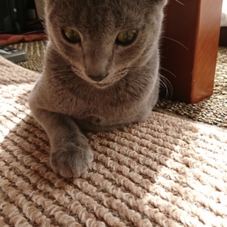 甘えん坊の男の子