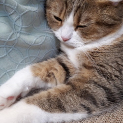 今日のわたくし