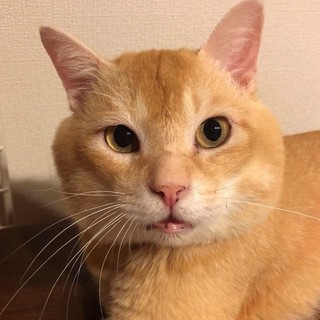 11/11 水道橋★マルちゃん★人が大好き男子