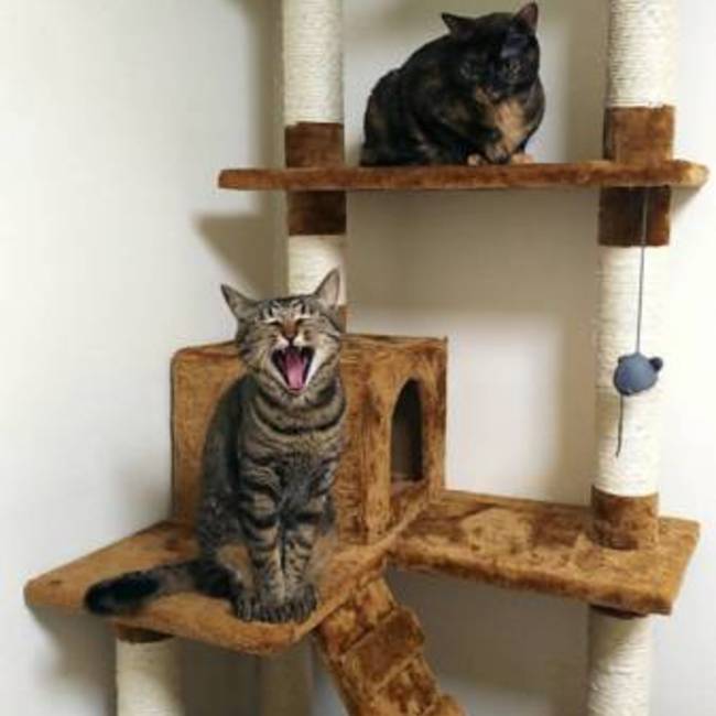 なお＠みたちゃんのカバー写真