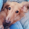 今、現在です