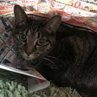 そうこ