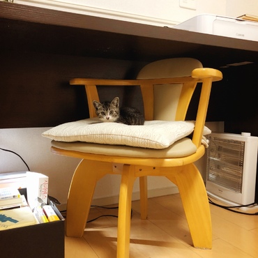 ペットのお家から授かった家族です