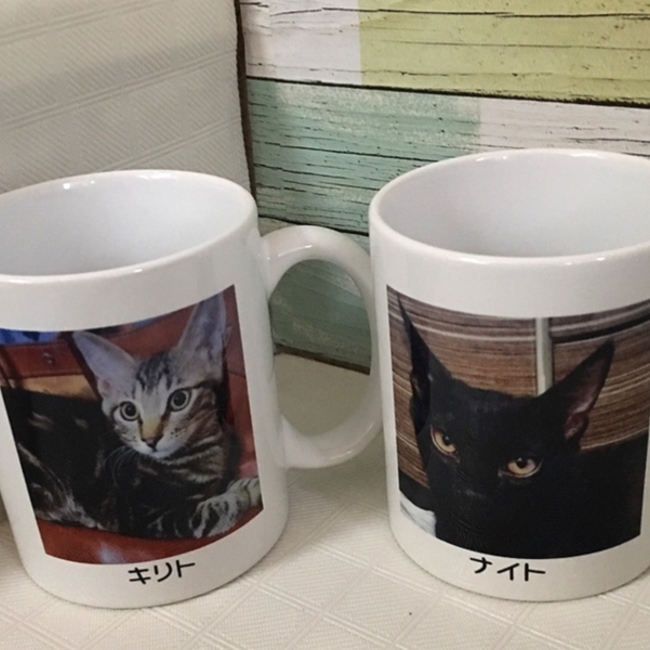 キリト★ナイトのカバー写真