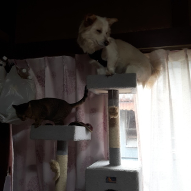 nori727のカバー写真